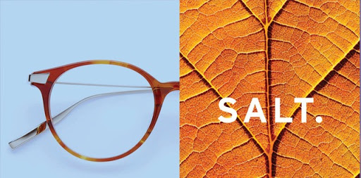 SALT logo with leaf and photo of frames