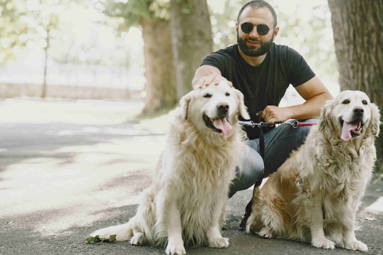 GuideDogs