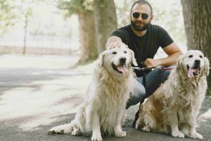 GuideDogs